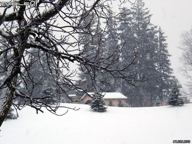 生活中的雪景, 给寒冬加一奌氣氛