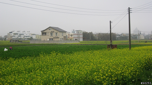苗栗市 苗26→錫隘隧道→獅潭→苗22→雲洞宮→頭屋→苗栗