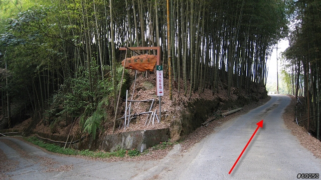 南投縣 竹山→投49鄉道→大人凍林道→軟鞍八卦茶園