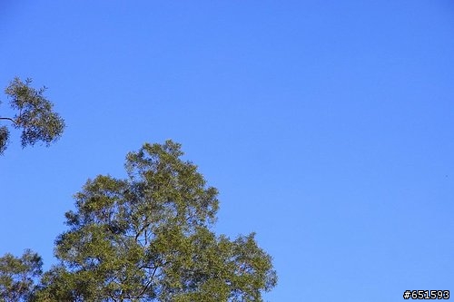 20090107初訪五公山