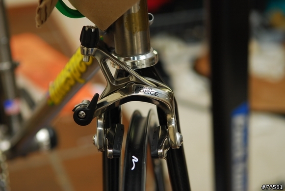 除夕日, Litespeed Arenberg