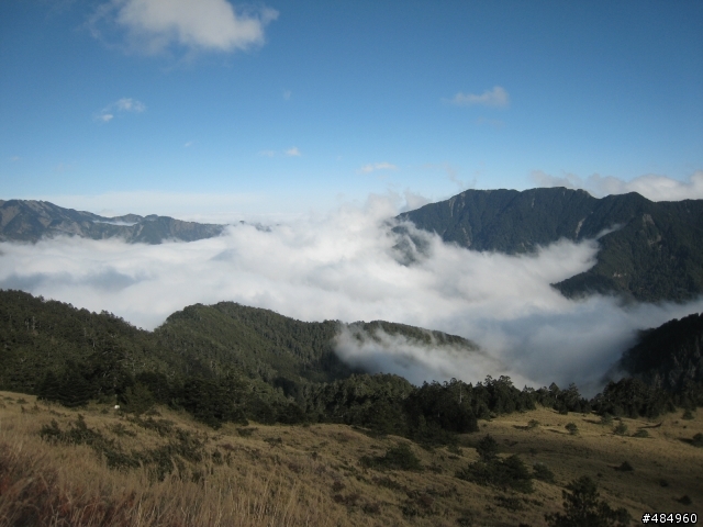 2008年12月我在廬山溫泉區......