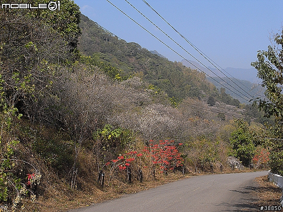 原厰新勁戰三橫環半島09.01.12-01.15...圖多小心