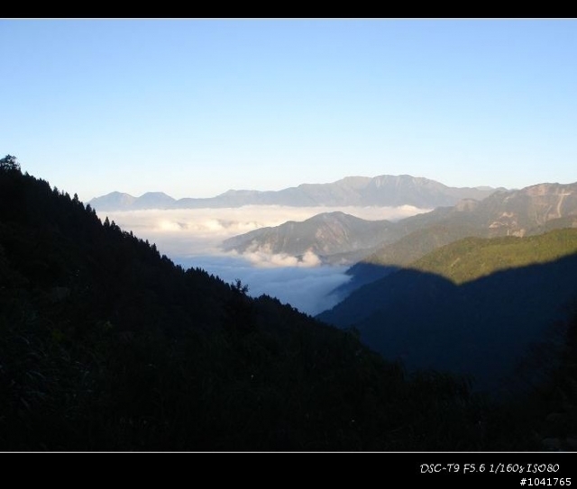 [遊記]2009新年新希望 阿里山塔塔加挑戰之旅