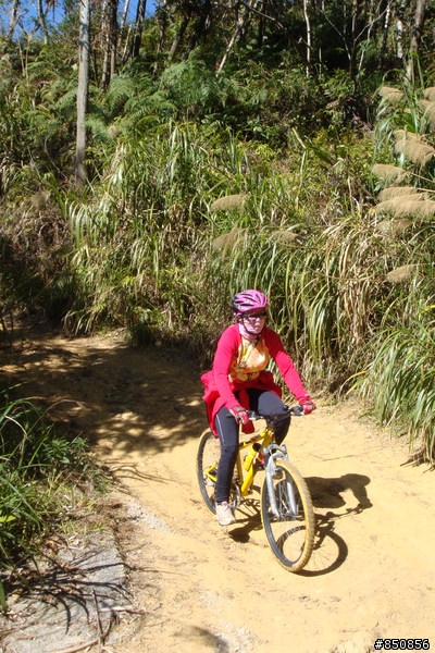 女王的第一次offroad，越嶺線浸林道