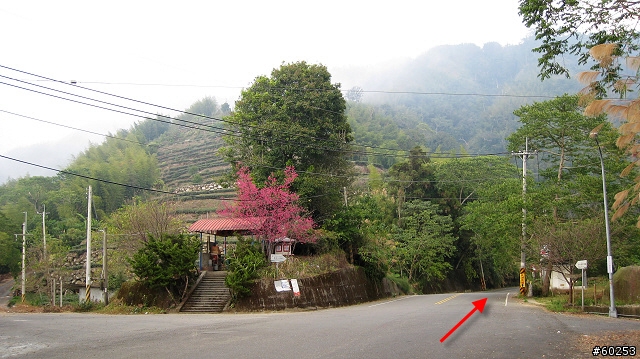 南投縣 竹山→投49鄉道→大人凍林道→軟鞍八卦茶園