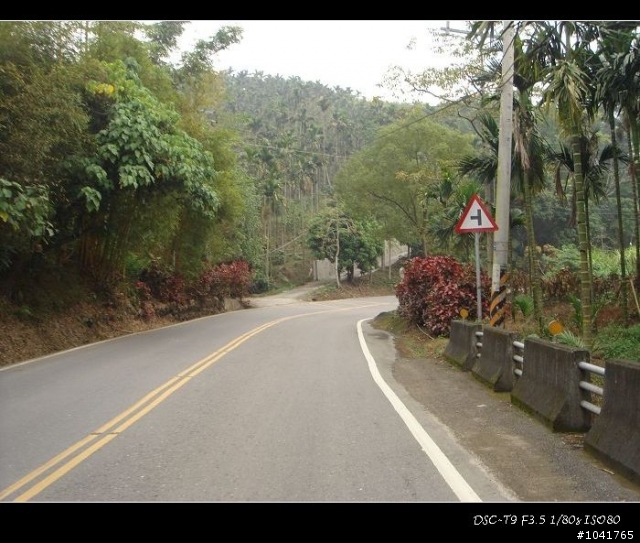 [遊記]2009新年新希望 阿里山塔塔加挑戰之旅