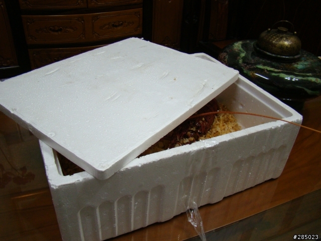 2008年最後一次的開箱  也是小弟的第一次開箱文