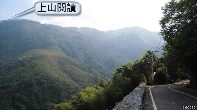 南投縣 竹山→投49鄉道→大人凍林道→軟鞍八卦茶園