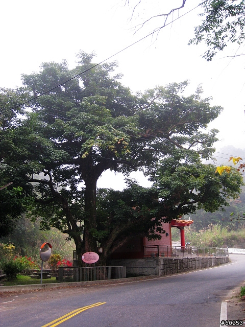 苗栗市 苗26→錫隘隧道→獅潭→苗22→雲洞宮→頭屋→苗栗