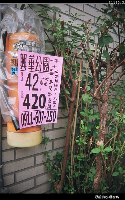 [分享] Lomo感再擊發~~黑鳥不飛變白鳥---Blackbird fly