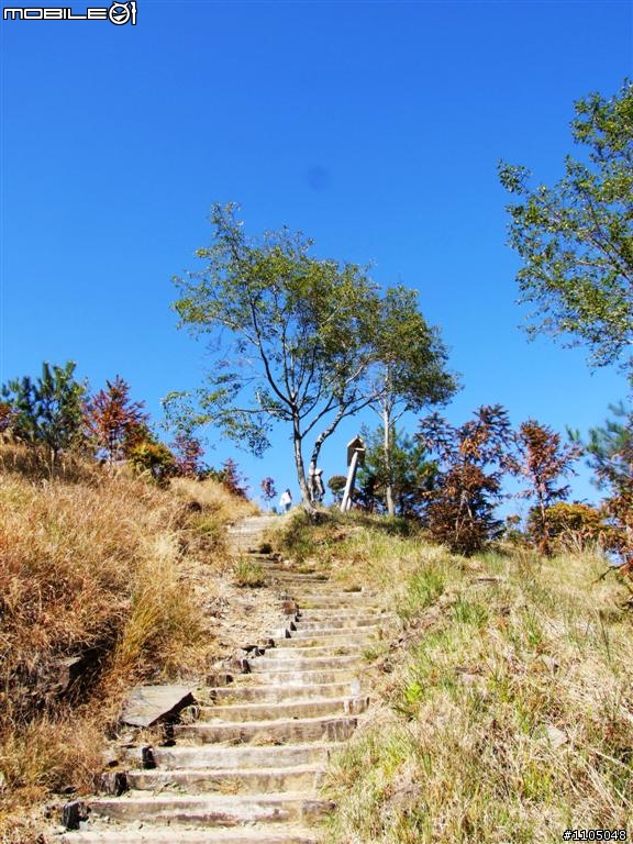 元旦連假--南橫探路之旅