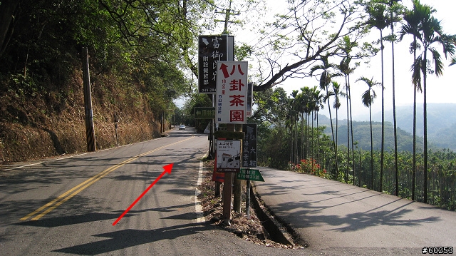 南投縣 竹山→投49鄉道→大人凍林道→軟鞍八卦茶園