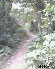 OFF ROAD 不用跑遠在家附近也有好玩的路線