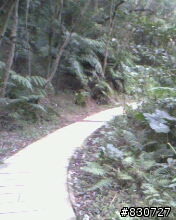OFF ROAD 不用跑遠在家附近也有好玩的路線