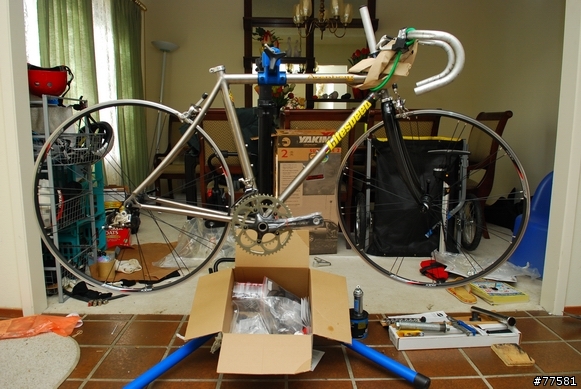 除夕日, Litespeed Arenberg