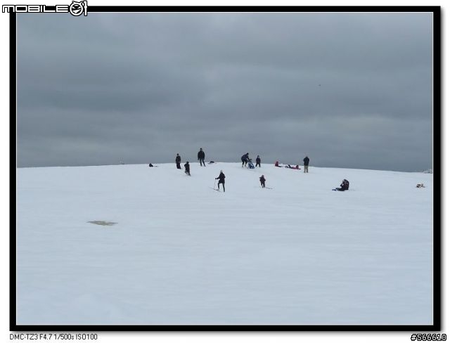 雪地裡的小Q