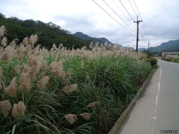 『分享』讓我歡喜讓我傷的  汐平公路+瑞雙(瑞芳九份)+五指山 單日145km長征!!
