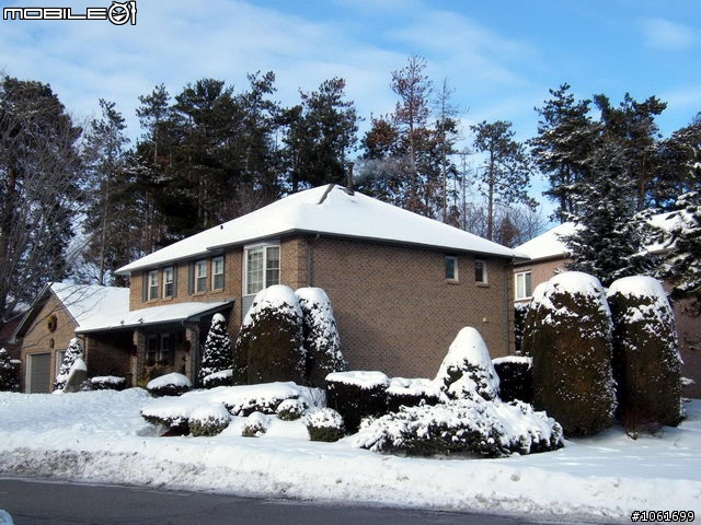 生活中的雪景, 给寒冬加一奌氣氛