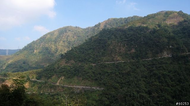 南投縣 竹山→投49鄉道→大人凍林道→軟鞍八卦茶園