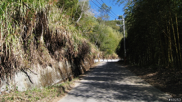 台中縣 東勢→雪見→司馬限→大湖→苗55→東勢