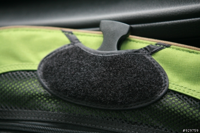 我的六百萬小野人