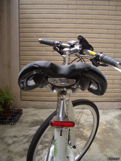 [分享]女王的美型新車GIANT ADVENTURE Enlight 3