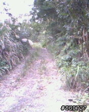 OFF ROAD 不用跑遠在家附近也有好玩的路線