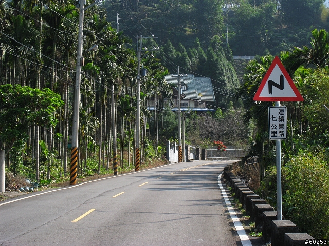 南投縣 竹山→投49鄉道→大人凍林道→軟鞍八卦茶園