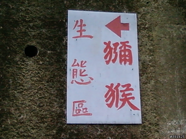 [豐原金東邦] 烏來、桶后、碧潭、單車1日遊。