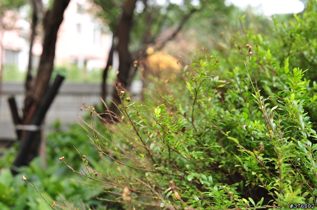 [分享] Nikon AF-S Nikkor 50mm F1.4 G 開箱