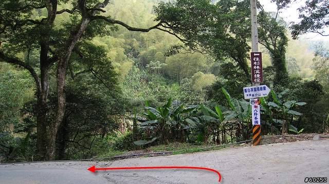 南投縣 竹山→投49鄉道→大人凍林道→軟鞍八卦茶園