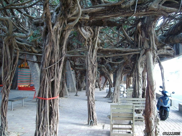2009環島番外篇.外加環澎湖本島