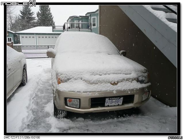 雪地裡的小Q