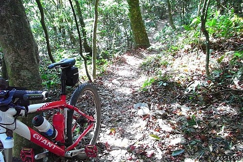 20090107初訪五公山