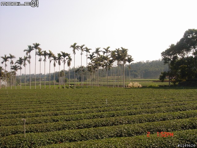 [分享]2009/01/02 圖多1F { 田中甲線+二水豐柏松柏嶺+社頭0~7100+名間小圓環松柏嶺}