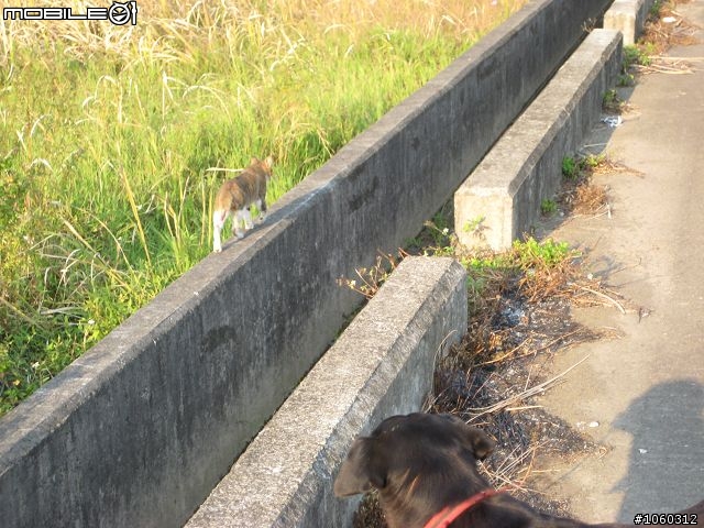 [小品遊記]鄉間小徑--竹縣三鎮訪幽行