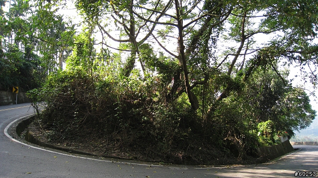南投縣 竹山→投49鄉道→大人凍林道→軟鞍八卦茶園