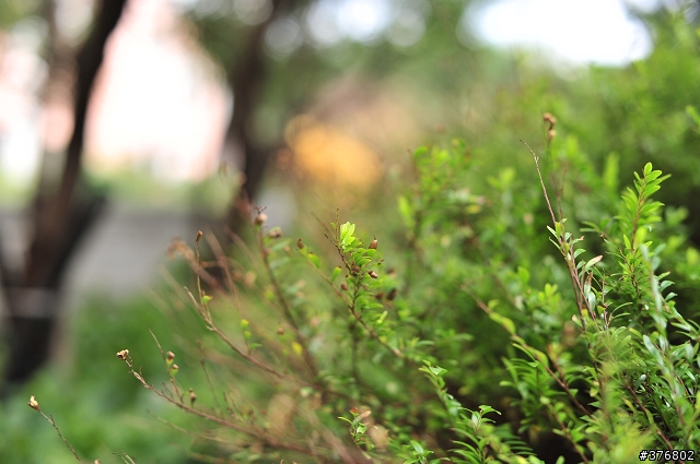 [分享] Nikon AF-S Nikkor 50mm F1.4 G 開箱
