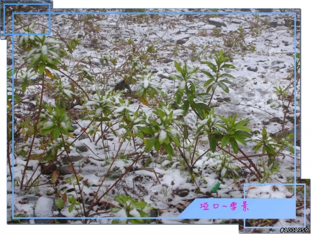 騎機車上 南橫 下 台東 兩日遊~Day-1