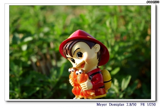 老鏡的春天...Meyer Optik Domiplan 2.8/50 M42 + NIKON