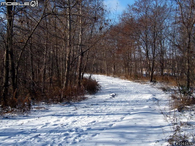 生活中的雪景, 给寒冬加一奌氣氛