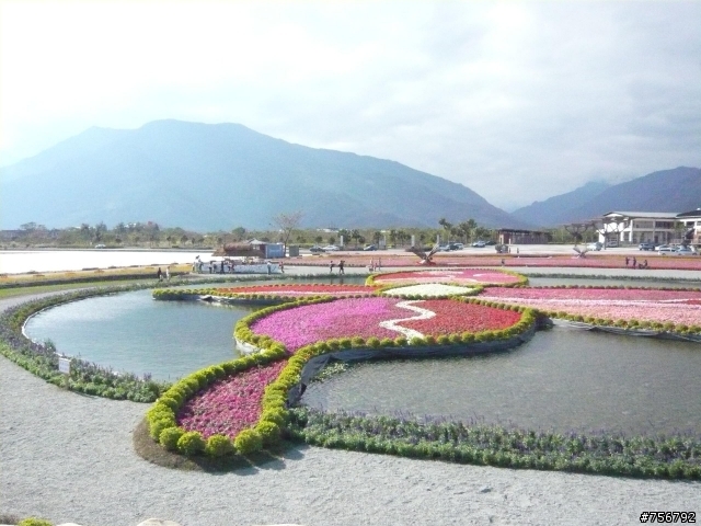花東縱谷-池上農會碾米廠花海+池上自行車道油菜花