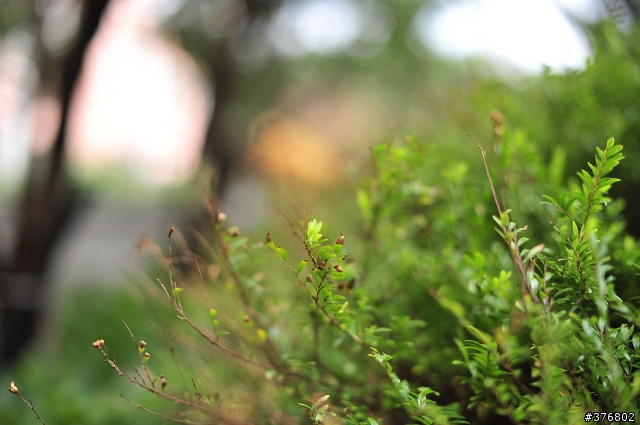 [分享] Nikon AF-S Nikkor 50mm F1.4 G 開箱