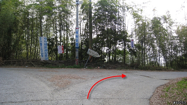 南投縣 竹山→投49鄉道→大人凍林道→軟鞍八卦茶園
