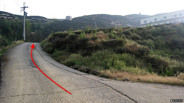 南投縣 竹山→投49鄉道→大人凍林道→軟鞍八卦茶園