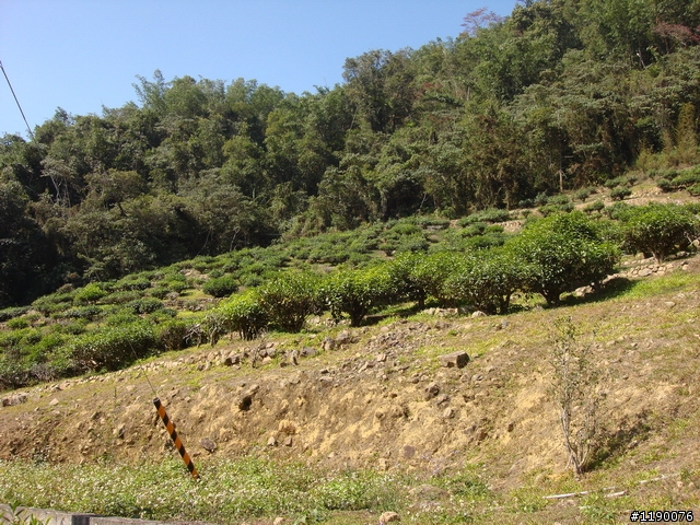 [分享][過年騎車的照片] 日月潭 & 貓囒山步道