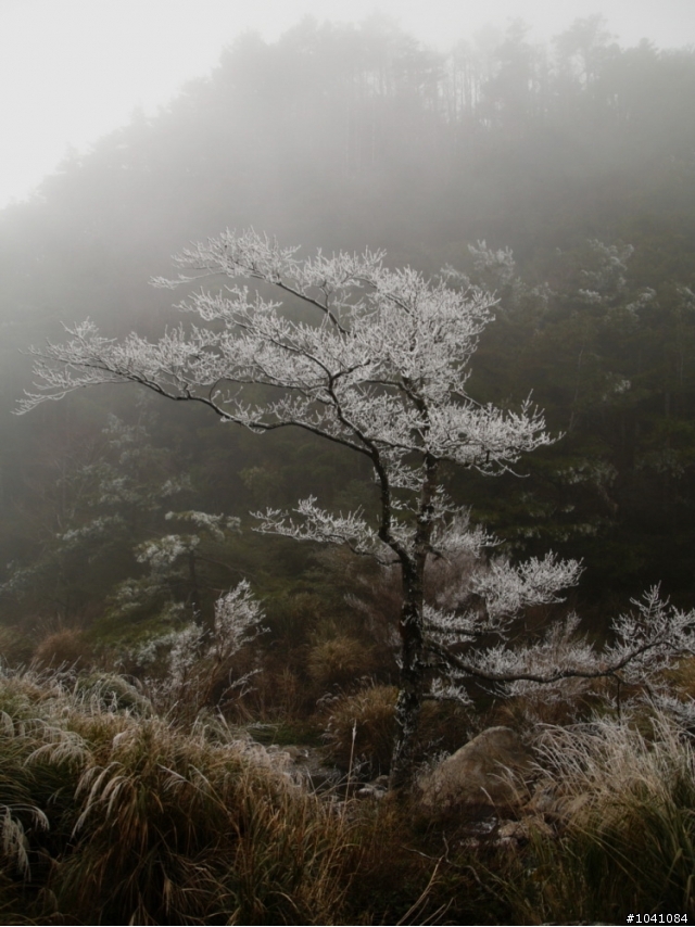 埔里->力行產業道路off road->褔壽山農場->梨山->宜蘭->台北