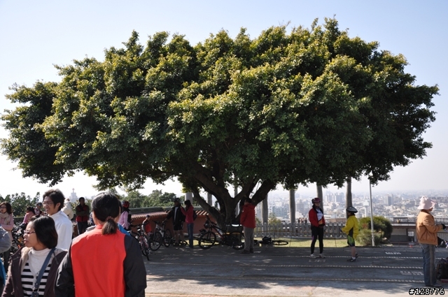 彰化星光八卦團-0101元旦大會師..照片