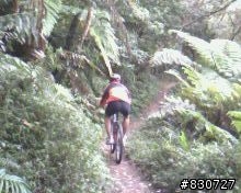 OFF ROAD 不用跑遠在家附近也有好玩的路線